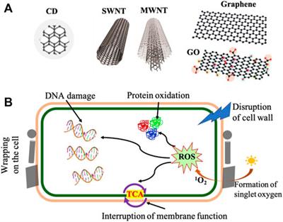 Frontiers | Sustainable And Repulpable Barrier Coatings For Fiber-Based ...